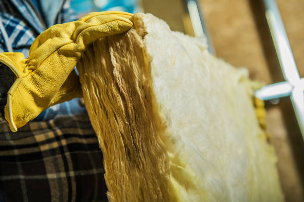 Best Residential Insulation in Metamora, IL